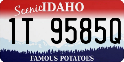 ID license plate 1T9585Q