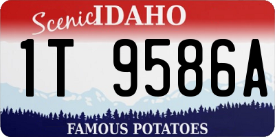 ID license plate 1T9586A