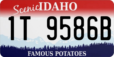 ID license plate 1T9586B
