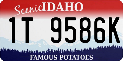 ID license plate 1T9586K