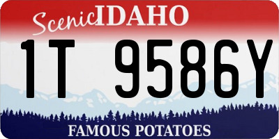 ID license plate 1T9586Y