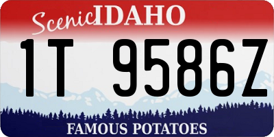 ID license plate 1T9586Z