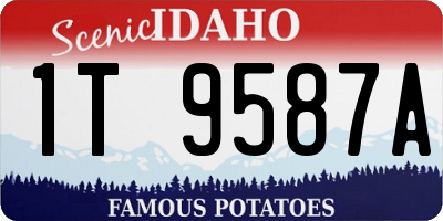 ID license plate 1T9587A