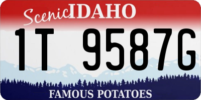ID license plate 1T9587G
