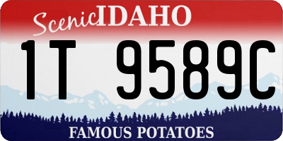 ID license plate 1T9589C