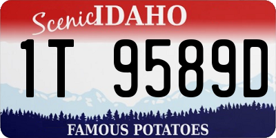 ID license plate 1T9589D