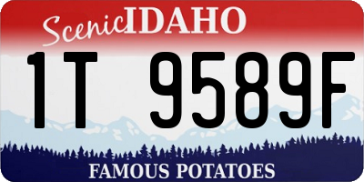 ID license plate 1T9589F