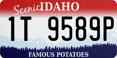 ID license plate 1T9589P