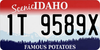 ID license plate 1T9589X