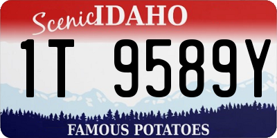ID license plate 1T9589Y