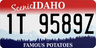 ID license plate 1T9589Z