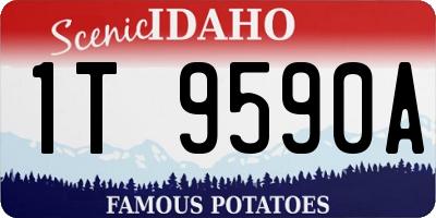 ID license plate 1T9590A