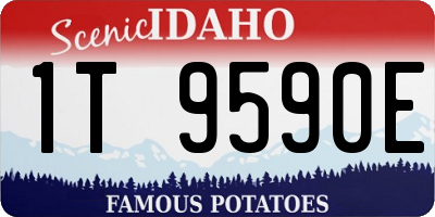ID license plate 1T9590E
