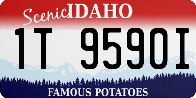 ID license plate 1T9590I