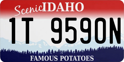 ID license plate 1T9590N