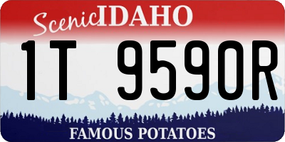 ID license plate 1T9590R