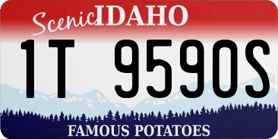 ID license plate 1T9590S