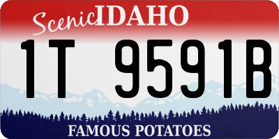 ID license plate 1T9591B
