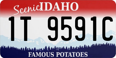 ID license plate 1T9591C