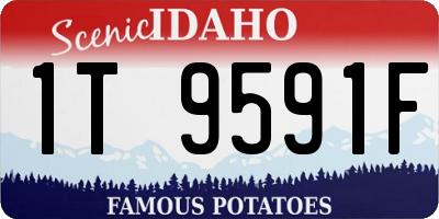ID license plate 1T9591F