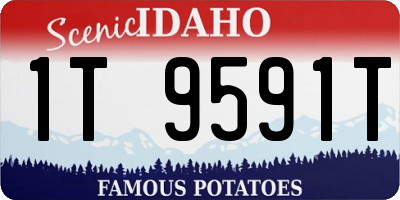 ID license plate 1T9591T