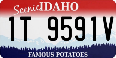 ID license plate 1T9591V