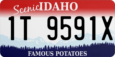 ID license plate 1T9591X