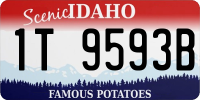 ID license plate 1T9593B