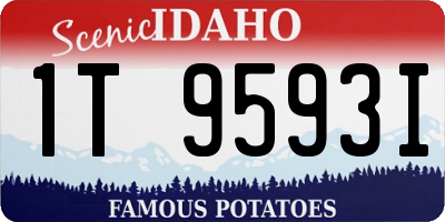ID license plate 1T9593I