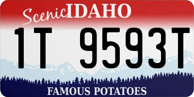 ID license plate 1T9593T