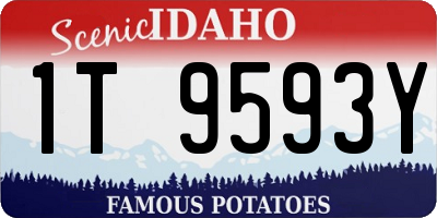 ID license plate 1T9593Y