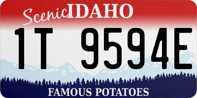 ID license plate 1T9594E
