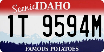ID license plate 1T9594M