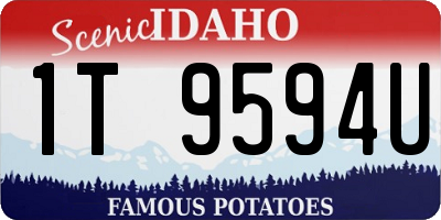 ID license plate 1T9594U