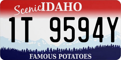 ID license plate 1T9594Y