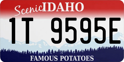 ID license plate 1T9595E