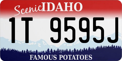 ID license plate 1T9595J