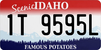 ID license plate 1T9595L