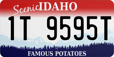 ID license plate 1T9595T