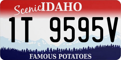 ID license plate 1T9595V