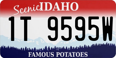 ID license plate 1T9595W