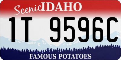 ID license plate 1T9596C