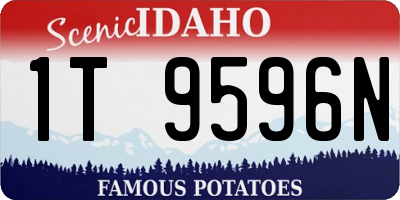 ID license plate 1T9596N