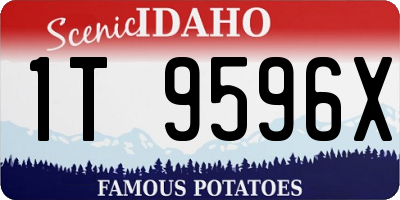 ID license plate 1T9596X