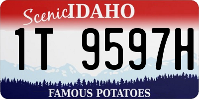 ID license plate 1T9597H