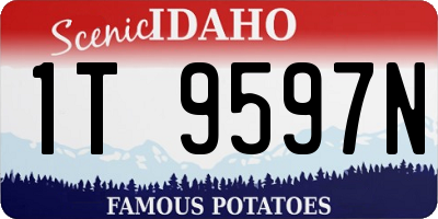 ID license plate 1T9597N