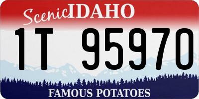 ID license plate 1T9597O