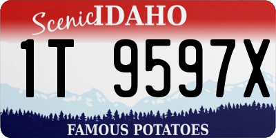ID license plate 1T9597X