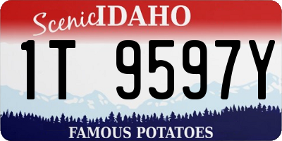 ID license plate 1T9597Y
