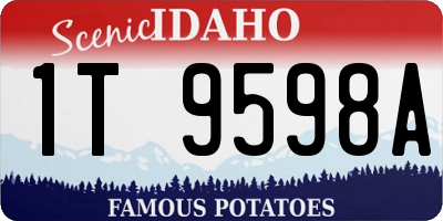 ID license plate 1T9598A